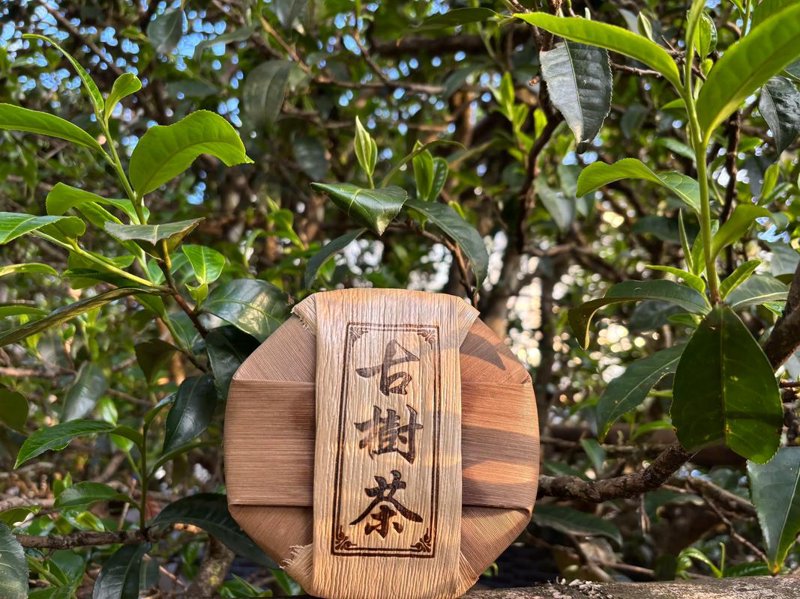 普洱茶批发